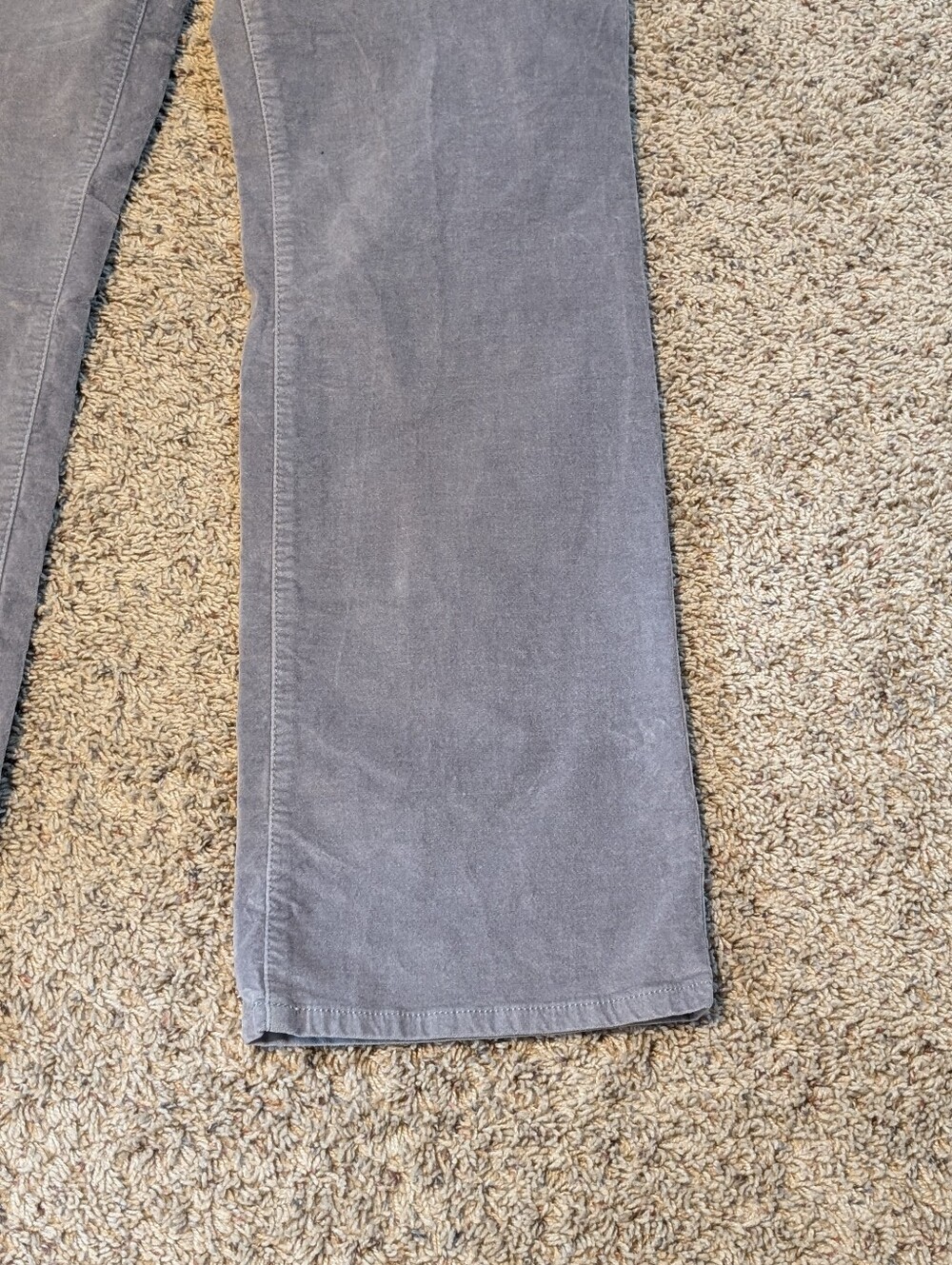 Sonoma Life + Style Women’s Gray Bootcut Softy Velvet Pants Size 14 Reg - Picture 3 of 11